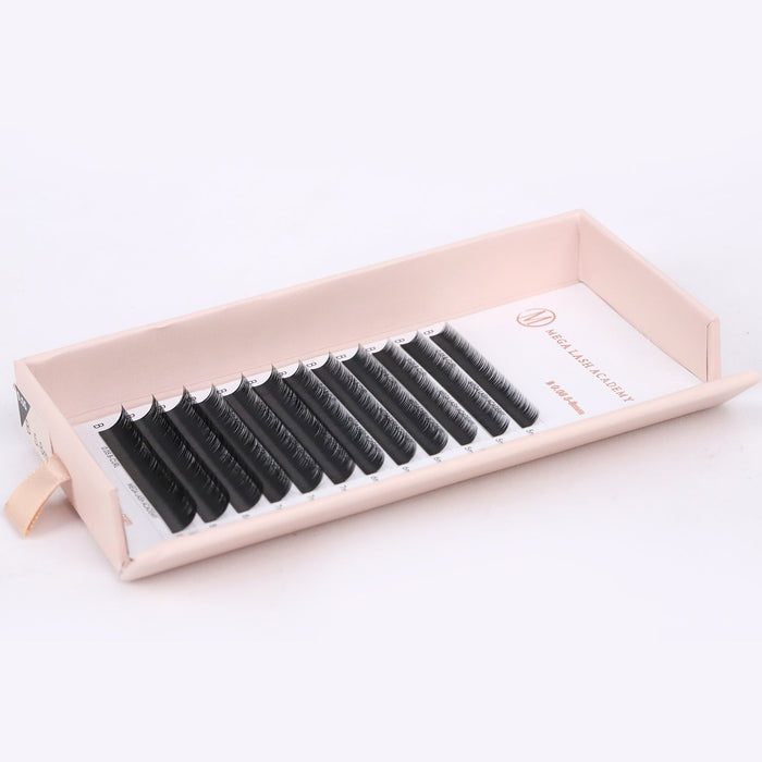 Bottom & Inner Corner B Curl Lash Tray Lash Trays Mega Lash Academy