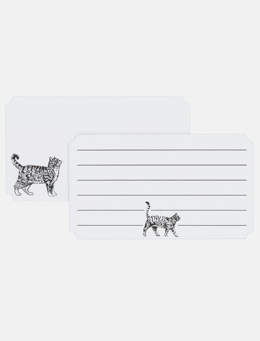 Cartes mémo à imprimé de chats