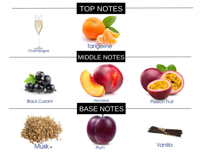 CHAMPAGNE DREAMS FRAGRANCE BODY SPRAY - Ceed Fragrances
