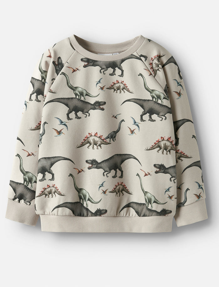 Chandail motif dinosaures - garçon