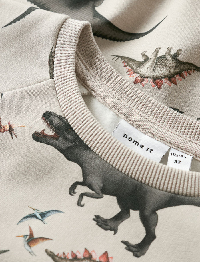 Chandail motif dinosaures - garçon