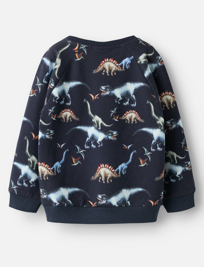Chandail motif dinosaures - garçon