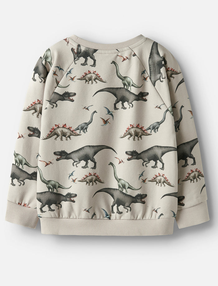 Chandail motif dinosaures - garçon