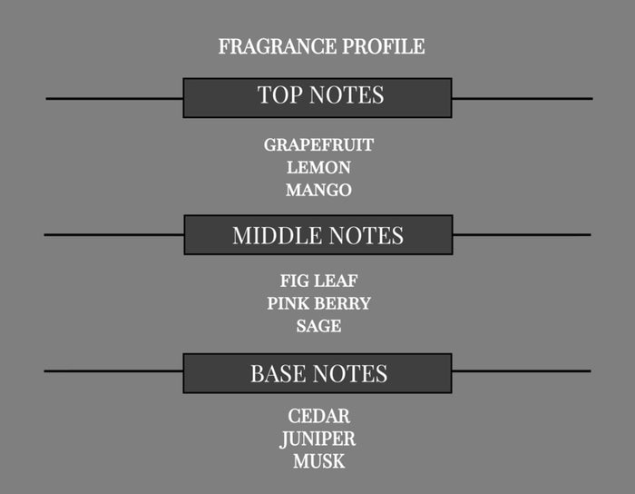 COMPARE TO PARIS HILTON MEN FRAGRANCE BODY BUTTER - Ceed Fragrances