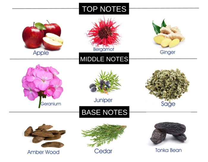 COMPARE TO Y FRAGRANCE BODY SPRAY - Ceed Fragrances