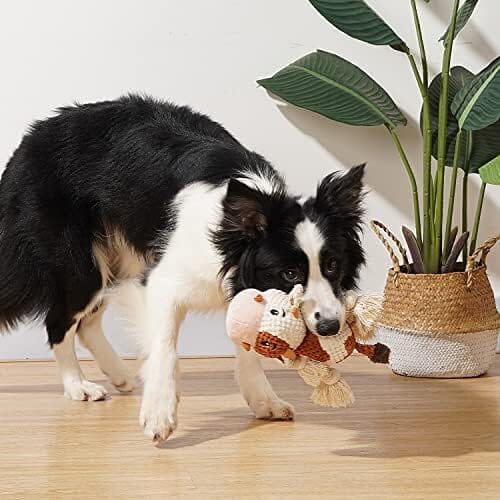 Cute Squeaky Dog Toys with Crinkle Paper Dog Toys Pet Clever