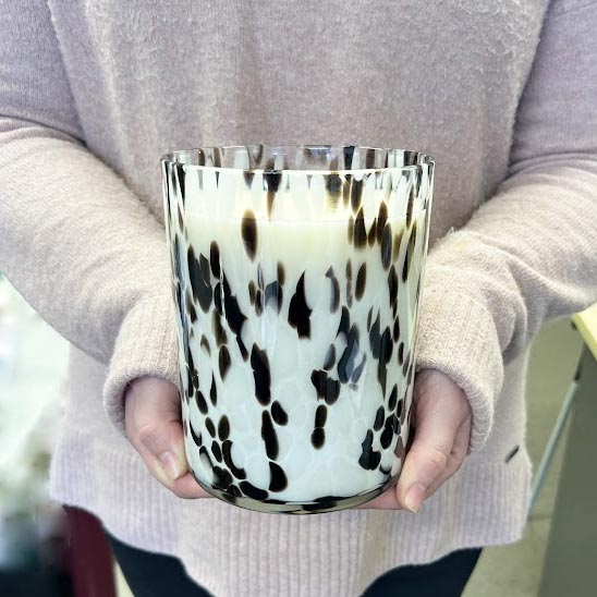 Amanda Alexander Dalmation XL Soy Wax Candle | Koop.co.nz