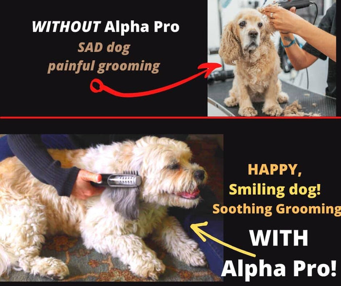 Painlessly Removes Knots & Tangles from Long Haired Dogs Dog Hair Trimmers Pet Clever