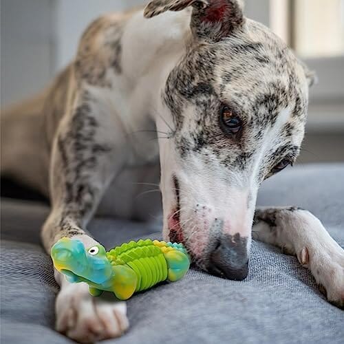 Dog Toys for Aggressive Chewers Dog Toys for Large Dogs Dog Toys Pet Clever