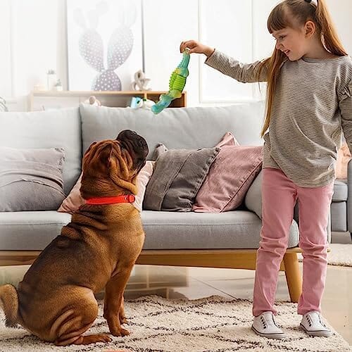 Dog Toys for Aggressive Chewers Dog Toys for Large Dogs Dog Toys Pet Clever