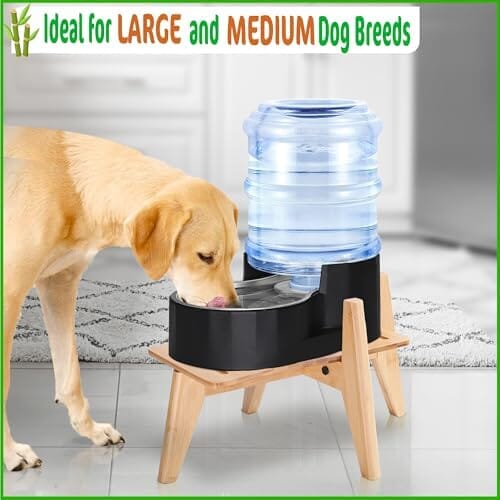 Dog Water Bowl Dispenser Stand Dog Bowls & Feeders Pet Clever