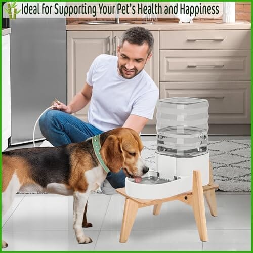 Dog Water Bowl Dispenser Stand Dog Bowls & Feeders Pet Clever
