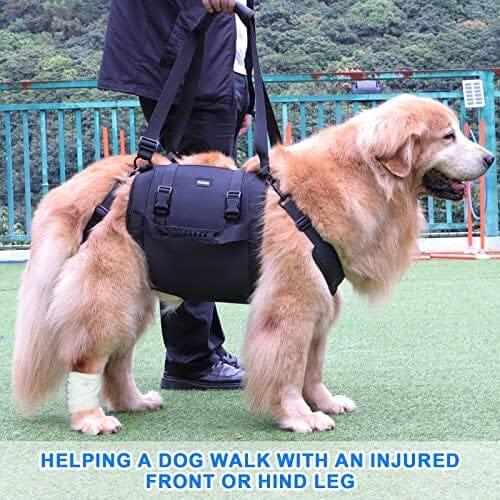 Emergency Backpack Pet Legs Support & Rehabilitation Dog Lift Harness for Large Dogs Dog Harness Pet Clever
