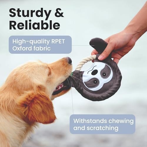 Fox Flying Disc Dog Toys Tug-of-War Toy Toys Pet Clever
