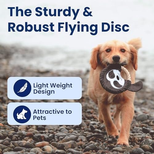 Fox Flying Disc Dog Toys Tug-of-War Toy Toys Pet Clever