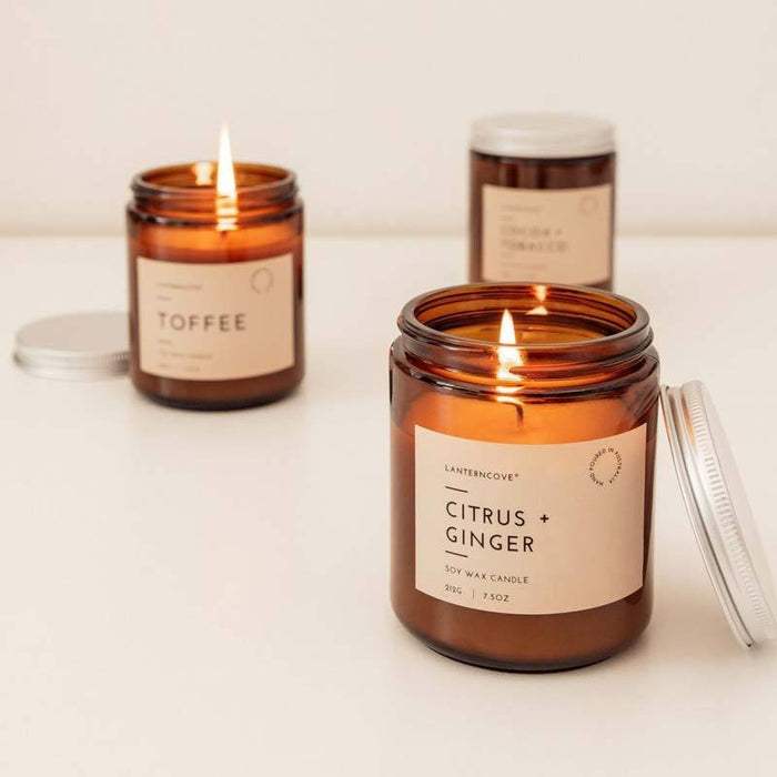 Lantern Cove Glo Candle - Coconut & Amber | Koop.co.nz