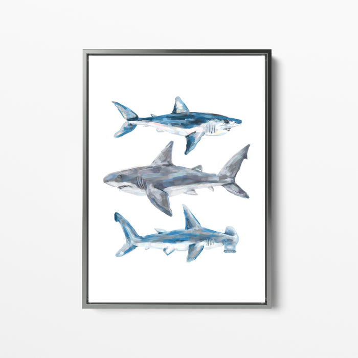 Great White, Mako + Hammerhead Shark - Jetty Home
