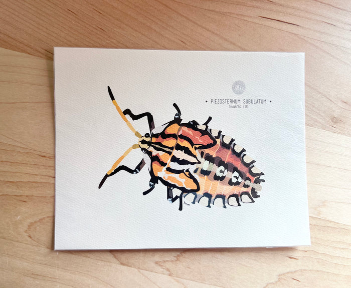 PUPA-Art Prints Small