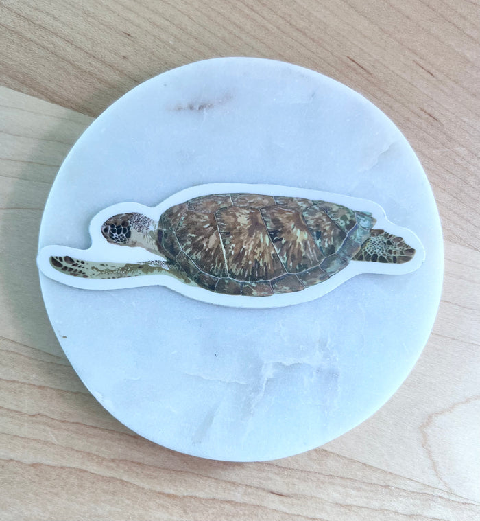PUPA-Green Sea Turtle Sticker