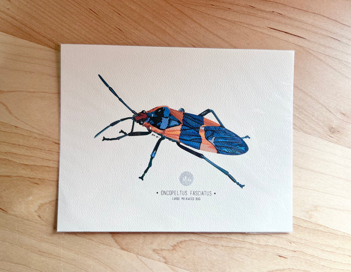 PUPA-Art Prints Small