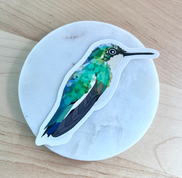 PUPA-Zumbadorcito de Puerto Rico Sticker