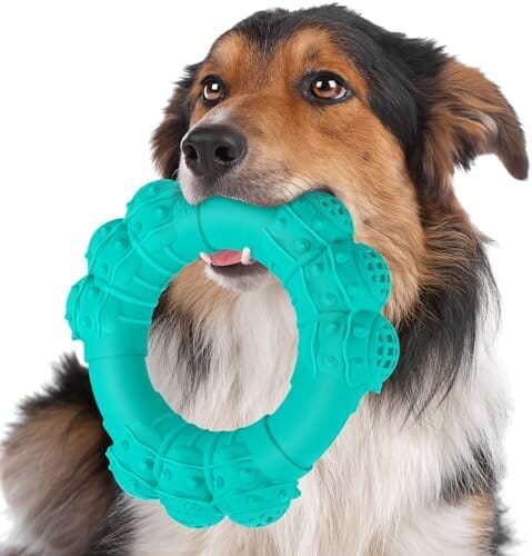 Indestructible Dog Chew Ring Toys for Aggressive Chewers Dog Toys Pet Clever