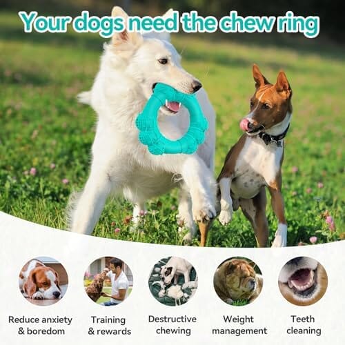 Indestructible Dog Chew Ring Toys for Aggressive Chewers Dog Toys Pet Clever