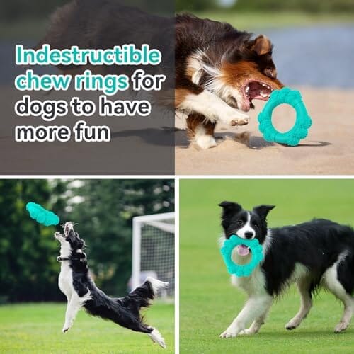 Indestructible Dog Chew Ring Toys for Aggressive Chewers Dog Toys Pet Clever