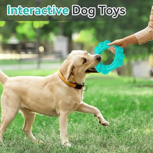 Indestructible Dog Chew Ring Toys for Aggressive Chewers Dog Toys Pet Clever