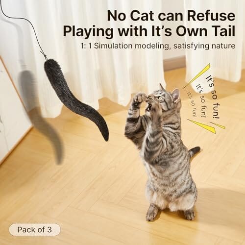Interactive Indoor Kitten Kicker for Kitty Exercise 9.8 Inches Cat Toys Pet Clever