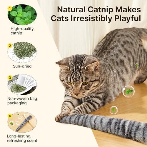 Interactive Indoor Kitten Kicker for Kitty Exercise 9.8 Inches Cat Toys Pet Clever
