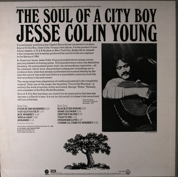Jesse Colin Young - The Soul Of A City Boy (LP) [US] 1974 RP (Near Mint (NM or M-))