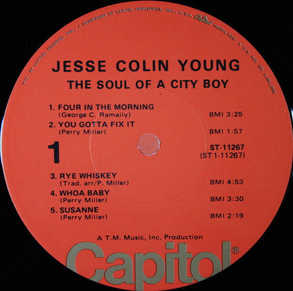 Jesse Colin Young - The Soul Of A City Boy (LP) [US] 1974 RP (Near Mint (NM or M-))