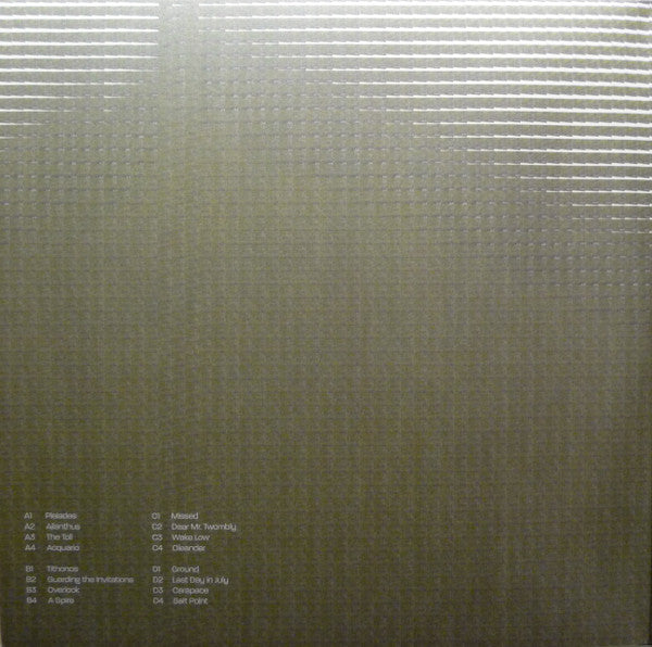 Julia Kent - Green And Grey (Expanded) (LP, LP) [UK] 2019 RP (Mint (M))