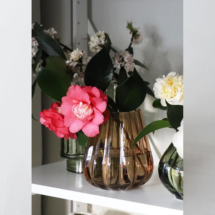 Griff Latona Glass Vase (15.5cm) | Koop.co.nz