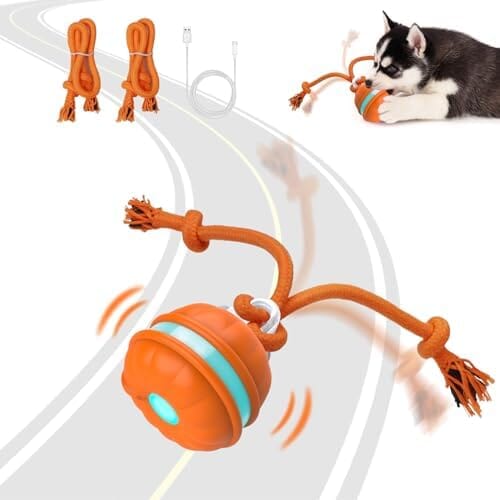 Motion Activated Dog Ball Automatic Rolling Ball Toys for Puppy Toys Pet Clever