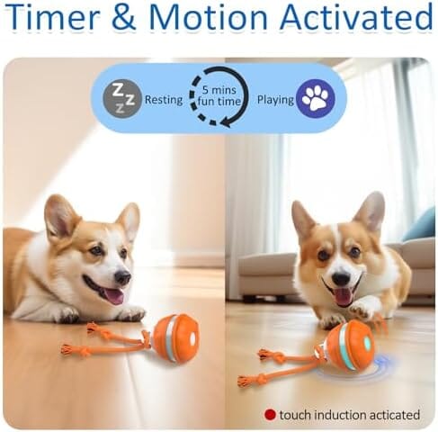 Motion Activated Dog Ball Automatic Rolling Ball Toys for Puppy Toys Pet Clever
