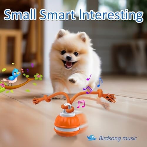 Motion Activated Dog Ball Automatic Rolling Ball Toys for Puppy Toys Pet Clever