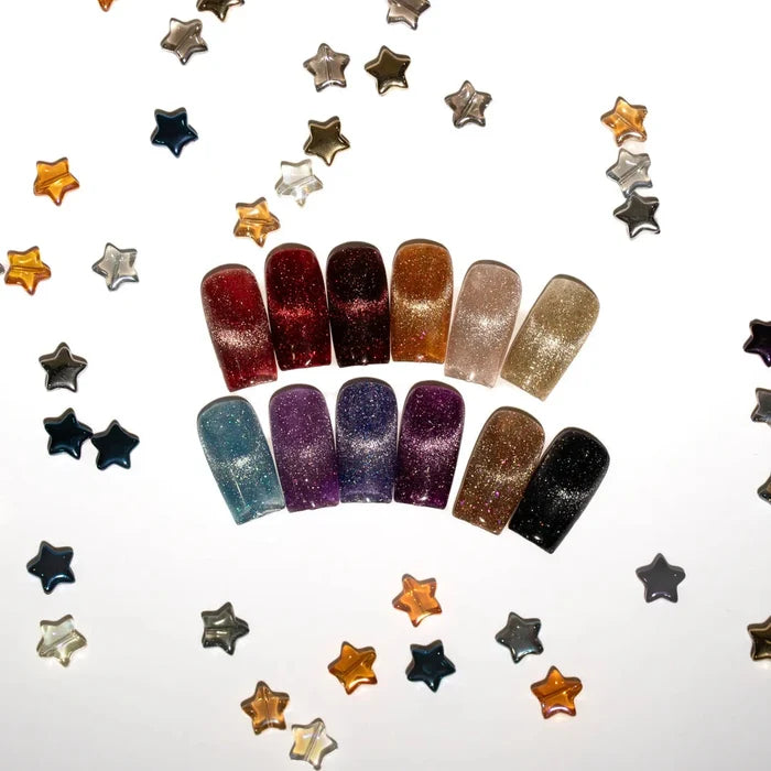 Nail Thoughts Zodiac Flash Magnet – Set of 12, 10 ml NT Magnet Bottle Nail Thoughts