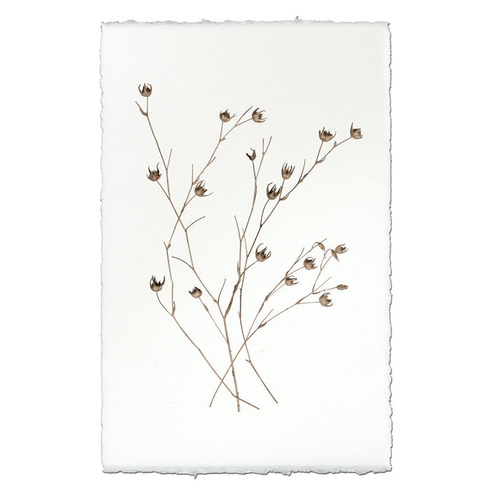 Petal Form Botanical Fine Art Photograph by Barloga Studios
