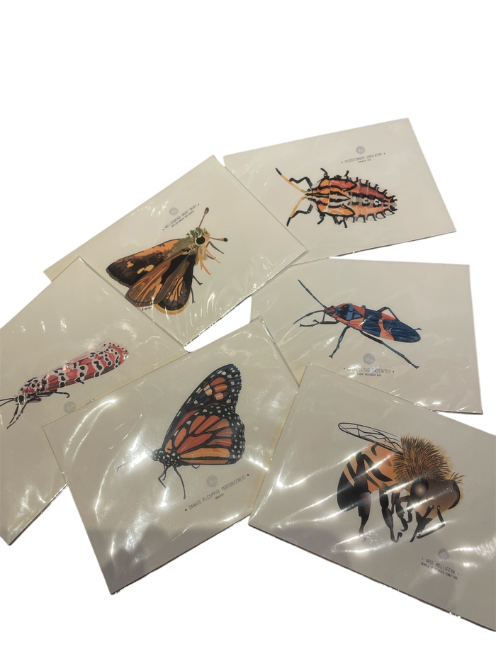 PUPA-Art Prints Small