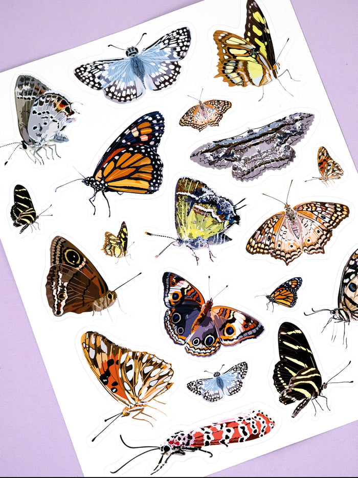 PUPA-Butterflies of Puerto Rico Sticker Sheet