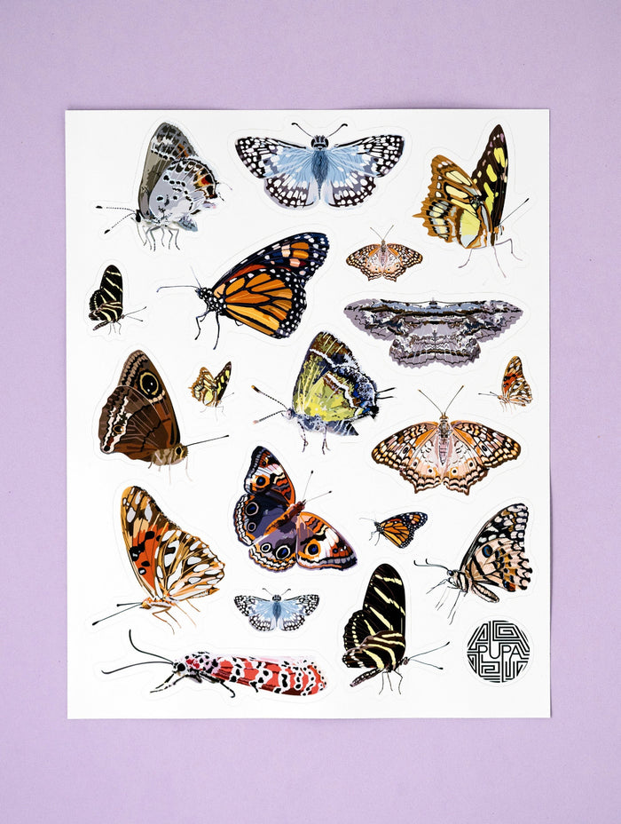PUPA-Butterflies of Puerto Rico Sticker Sheet