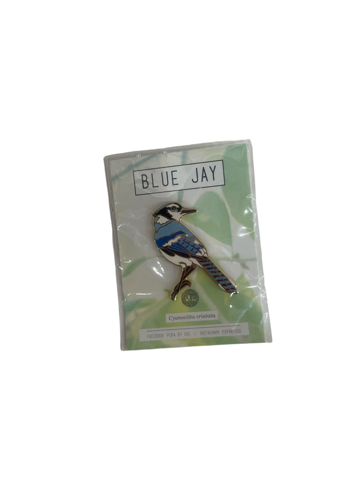 E. Blue Jay/Cyanocitta Cristata