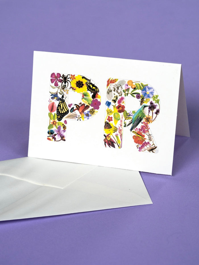 PUPA-PR Art
