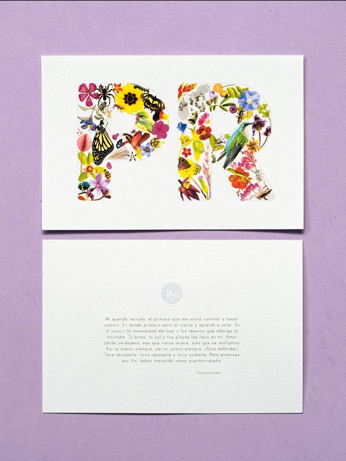 PUPA-PR Art