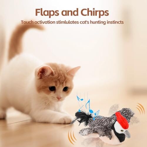Rechargeable Chirping Flapping Bird (no Flying) with Catnip for Indoor Cats Cat Toys amazon
