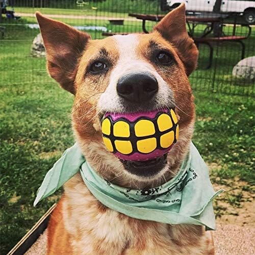 Rubber Funny Ball Gifts for Large Medium Dogs (Variety Pack) Toys Pet Clever