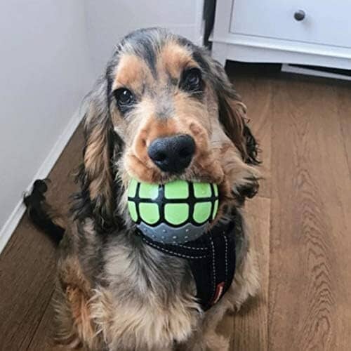Rubber Funny Ball Gifts for Large Medium Dogs (Variety Pack) Toys Pet Clever