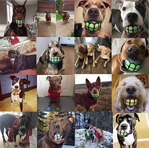 Rubber Funny Ball Gifts for Large Medium Dogs (Variety Pack) Toys Pet Clever